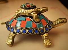 Vastu Tortoise for Good Luck