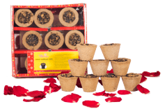 Panchgavya Sambrani Dhoop Cups(Pack of 2)