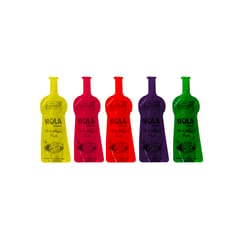 4 Designer Terra Cota Handi with Non Toxic Organic Colours (150 gms each) + Water Baloons + 1 Gilla Rang + Hola Liquid Set of 5