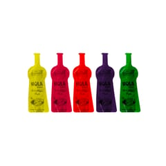 Hola Liquid Set of 5 (Pack of 2) + Holi Baloons 100 pcs