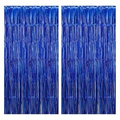 Foil Fringe Back Curtain for party decor (Pack of 2)