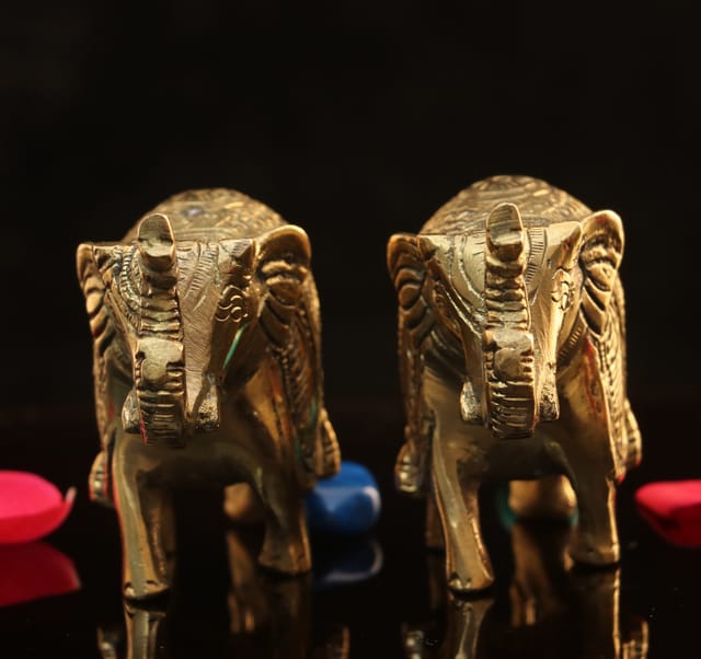 Brass Elephant pair ( 6.5 inches)