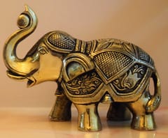 Brass Elephant big (6.5 nches)